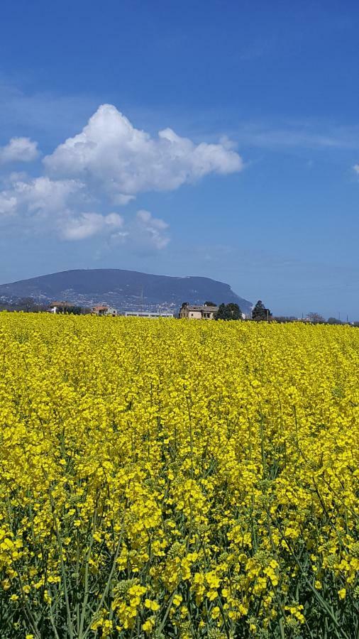 פורטו רקנאטי Villetta Del Conero מראה חיצוני תמונה