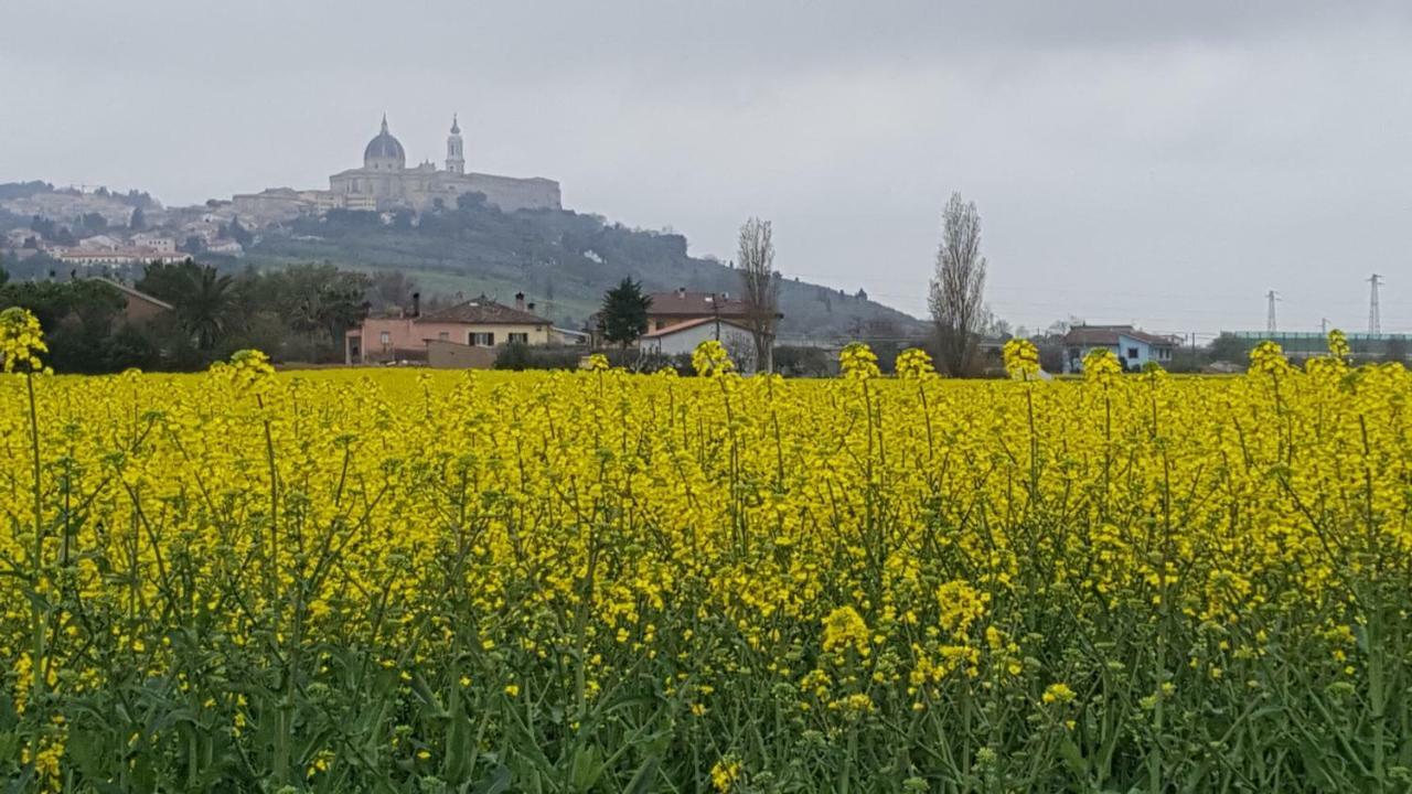 פורטו רקנאטי Villetta Del Conero מראה חיצוני תמונה